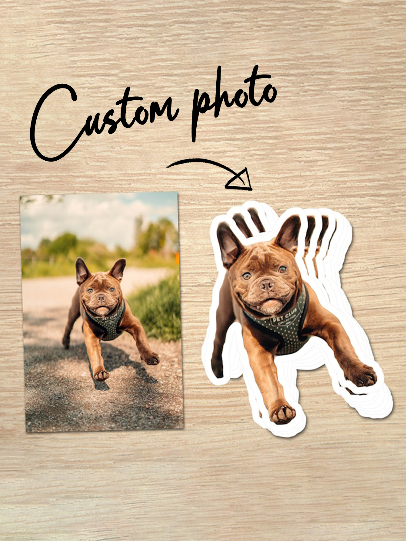 Custom Personalized Pet Photo Stickers
